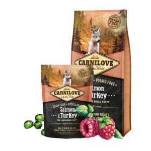 CARNILOVE PUPPY LARGE BREED SALMON & TURKEY bezgraudu sausā barība kucēniem Lasis, tītars 12kg